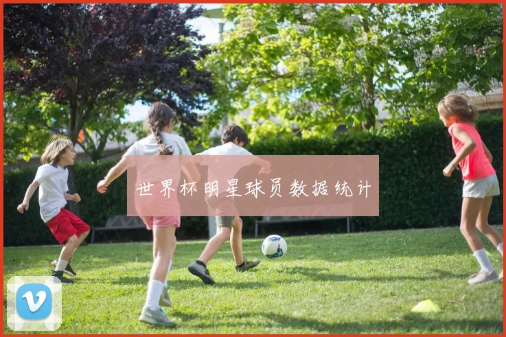 世界杯明星球员数据统计